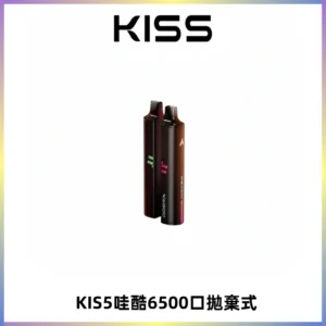 KIS5WAGOO哇酷6500口拋棄式 | 自由混搭雙口味 | 雙芯組合