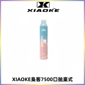 XIAOKE梟客7500Puffs跑馬燈拋棄式電子煙 可發光一次性